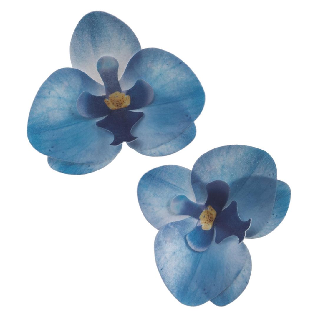 Oblátková orchidea modrá - 10ks