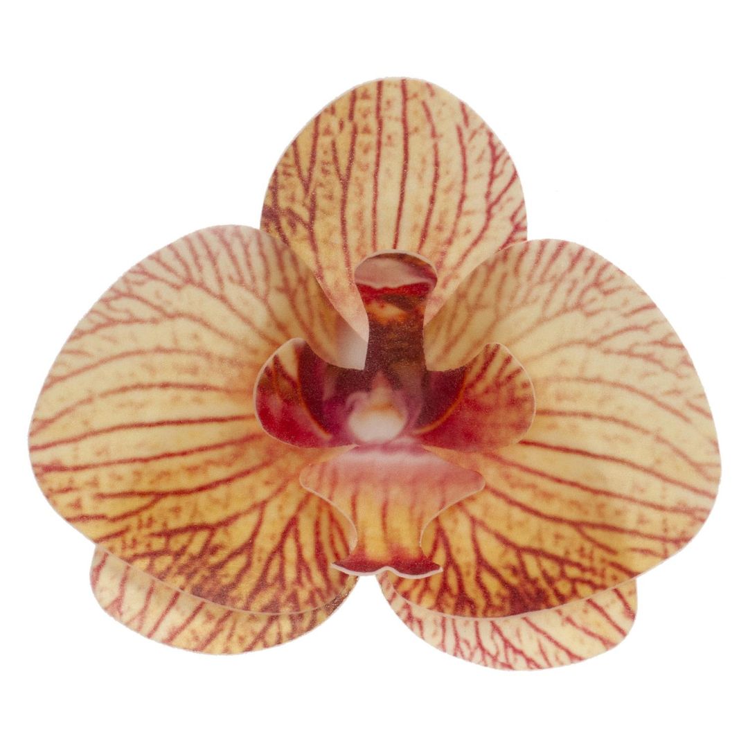 Oblátková orchidea oranžová - 10ks