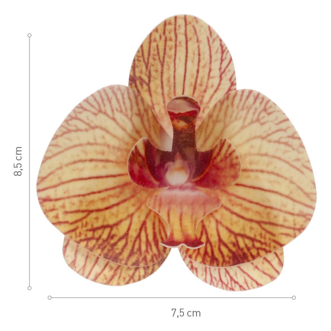 Oblátková orchidea oranžová - 10ks