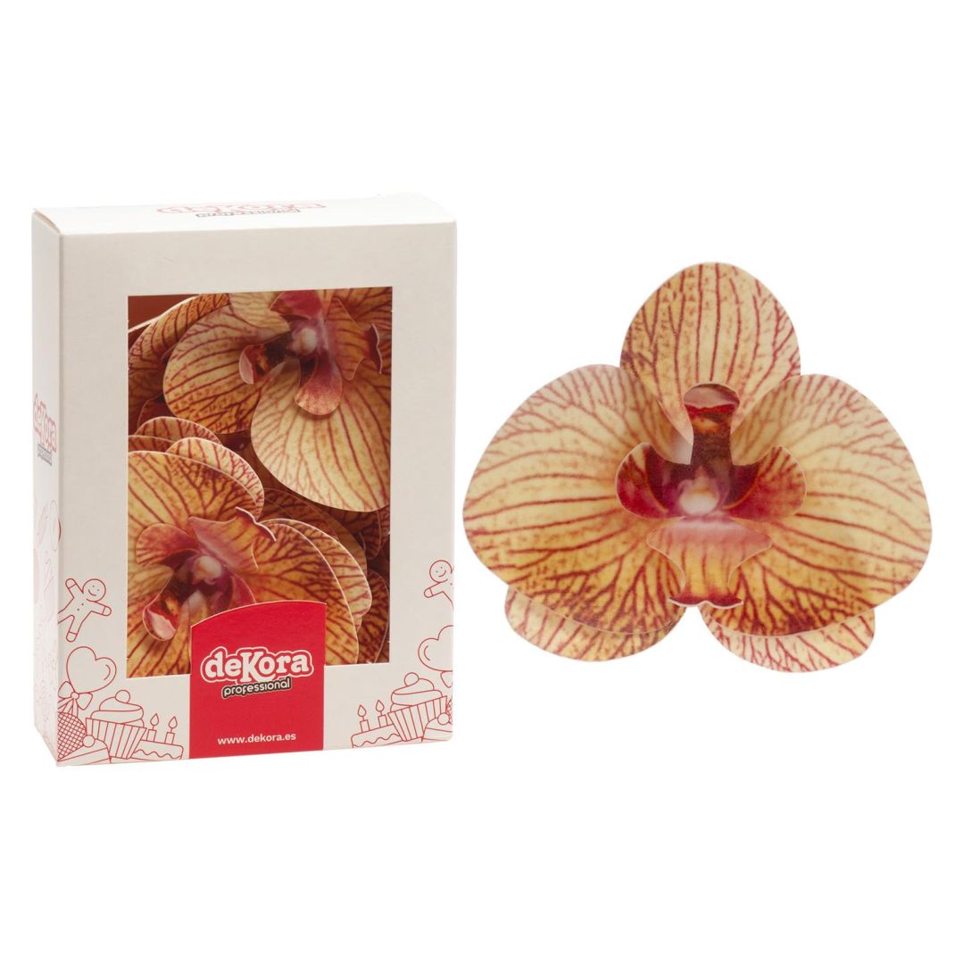 Oblátková orchidea oranžová - 10ks