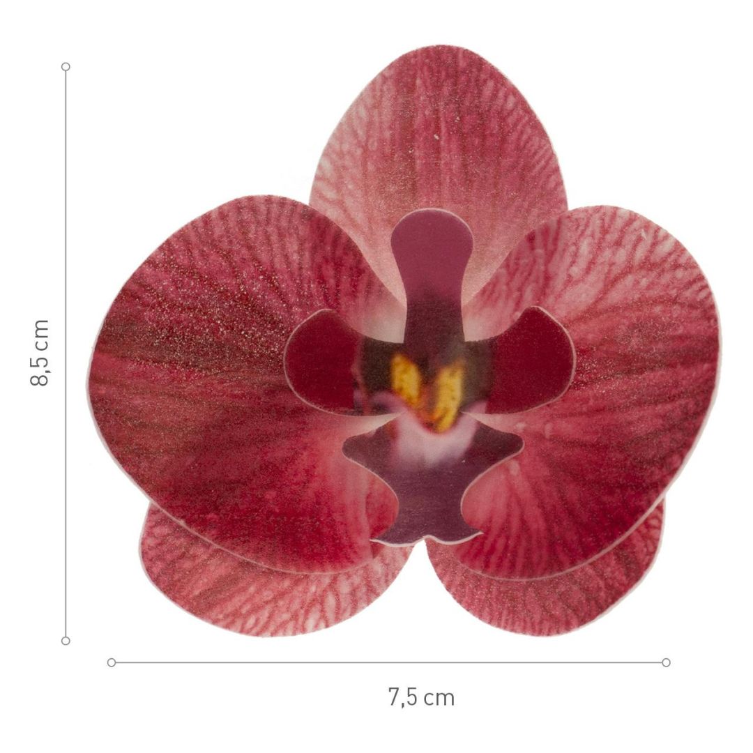 Oblátková orchidea bordová - 10ks