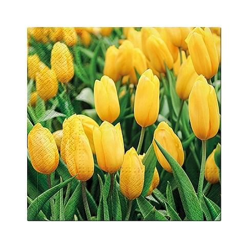 Papierové servítky - Žlté tulipány, 33x33cm