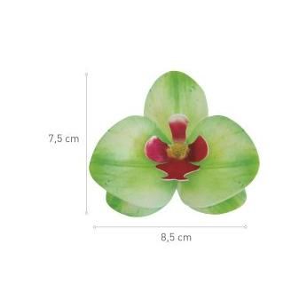 Oblátková orchidea zelená 10ks