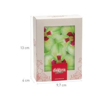 Oblátková orchidea zelená 10ks