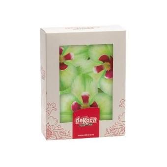 Oblátková orchidea zelená 10ks