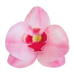 Oblátková orchidea ružová - 10ks