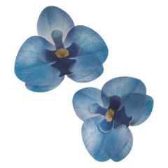 Oblátková orchidea modrá - 10ks