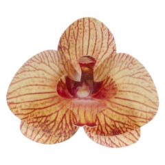 Oblátková orchidea oranžová - 10ks