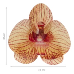 Oblátková orchidea oranžová - 10ks