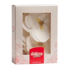 Oblátková orchidea biela - 10ks