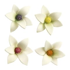 Sada bielych cukrových kvetín Sada bielych cukrových kvetín