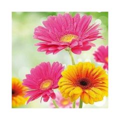 Papierové servítky - Gerbera
