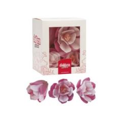 Sada oblátkových magnólií 6ks Sada oblátkových magnólií 6ks