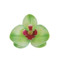 Oblátková orchidea zelená 10ks