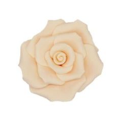 Sada krémových cukrových ružičiek Sada krémových cukrových ružičiek