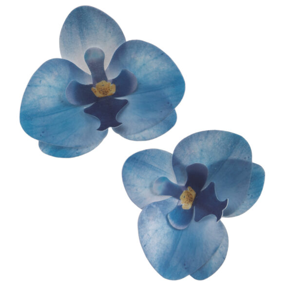 Oblátková orchidea modrá – 10ks