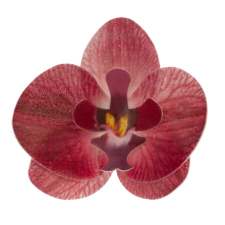 Oblátková orchidea bordová - 10ks