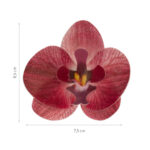 Oblátková orchidea bordová – 10ks