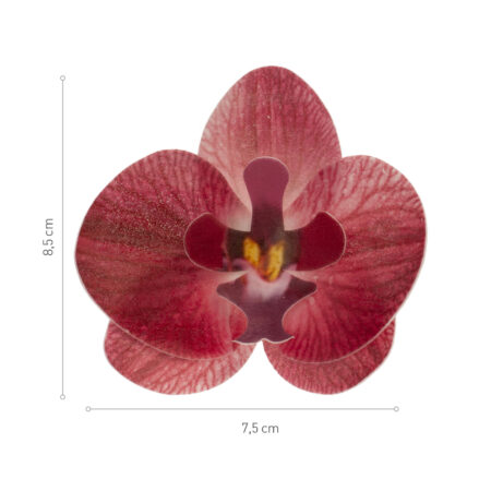 Oblátková orchidea bordová - 10ks 2