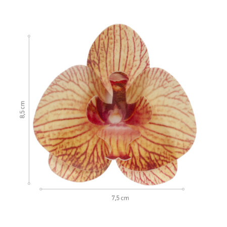 Oblátková orchidea oranžová - 10ks 2
