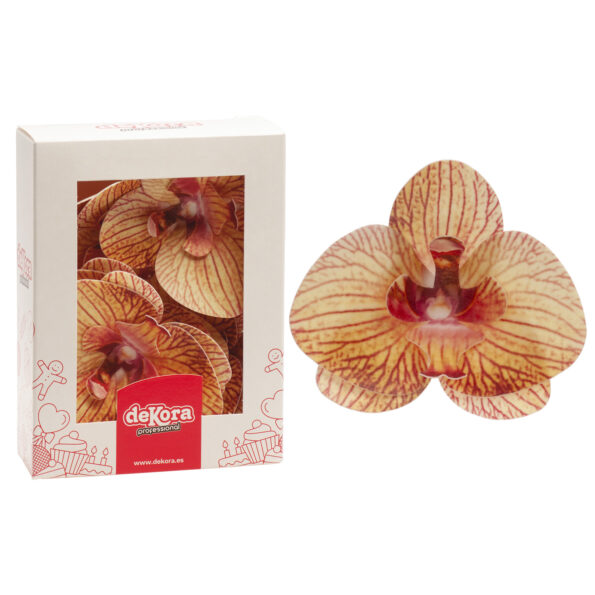 Oblátková orchidea oranžová – 10ks 4