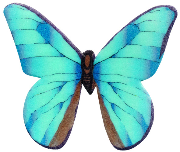 Sada oblátkových motýľov 200ks 9