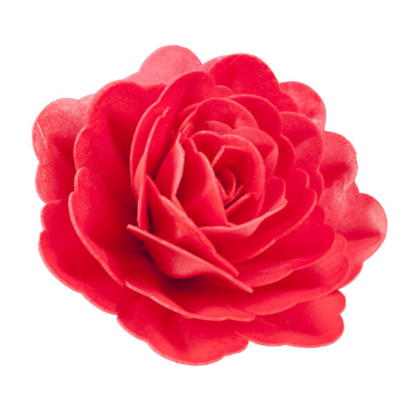 Oblátková ruža červená