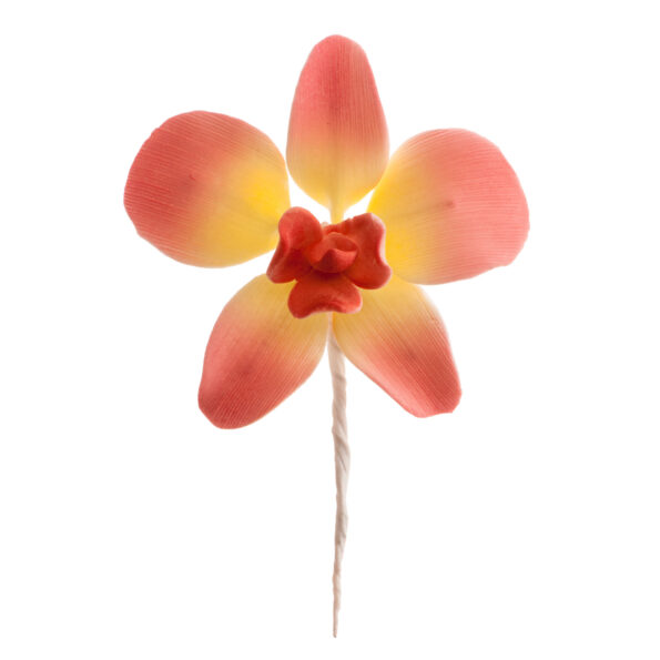 Sada cukrových orchideí 20ks 5