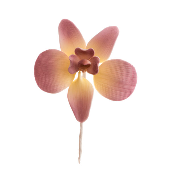 Sada cukrových orchideí 20ks 4