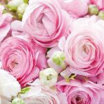 Papierové servítky – ružové ruže