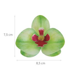 Oblátková orchidea zelená 10ks 1
