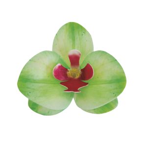 Oblátková orchidea zelená 10ks na zdobenie torty