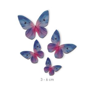 Sada oblátkových motýľov modrá 1